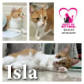 Photo of Isla