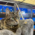 Photo of Tina