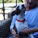 Photo of Bella