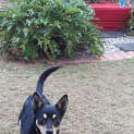 Photo of Shae