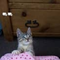 Photo of Olivia