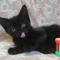 Photo of Doris