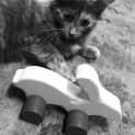 Photo of Leia