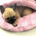 Photo of Mimi