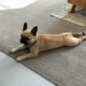 Photo of Mimi