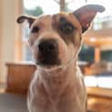 Photo of Sharra Nightingale