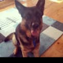 Photo of Axle