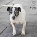 Photo of Molly Id32831