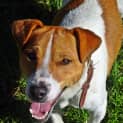 Photo of Frodo