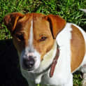 Photo of Frodo