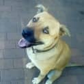 Photo of Missy