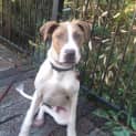 Photo of Murrumba