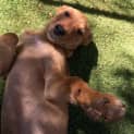 Photo of Sally