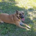 Photo of Emmy (D3382) 