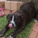 Photo of Molly