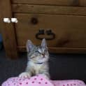 Photo of Olivia