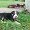 Photo of Nelly