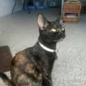 Photo of Narla