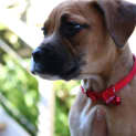 Photo of Hannah
