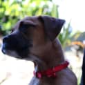 Photo of Hannah