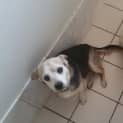 Photo of Sam