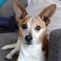 Photo of Hurley