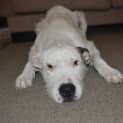 Photo of Mundy 