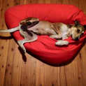 Photo of Kepler 