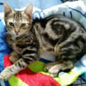 Photo of Hugo