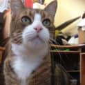 Photo of Charlie