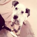 Photo of April