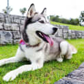 Photo of Tia