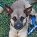 Photo of Emmy (D3382) 