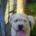 Photo of Murphy