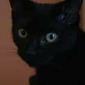 Photo of Eve