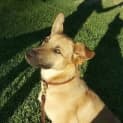 Photo of Duke