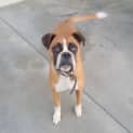 Photo of Runty