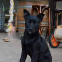 Photo of Ana