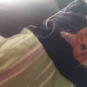 Photo of Almond