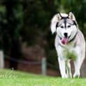 Photo of Tia