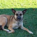 Photo of Emmy (D3382) 