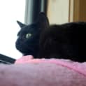 Photo of Eve