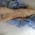 Photo of Nigel