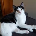 Photo of Rowdy