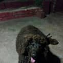 Photo of Penny W