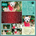 Photo of Henry