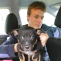 Photo of Foxie ** A Rottweiler Mix Pup **