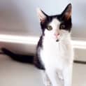 Photo of The Clawsome Nardo! 