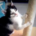 Photo of The Clawsome Nardo! 