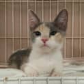 Photo of Mia